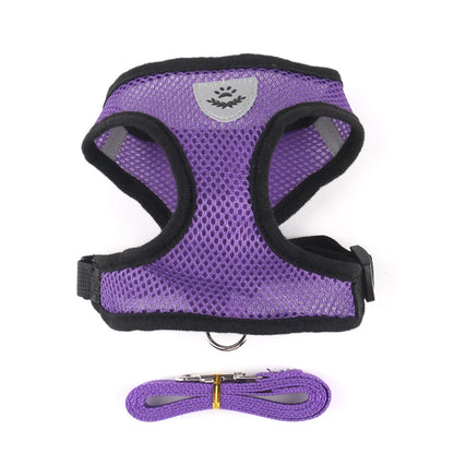 Breathable Mesh Harness & Leash