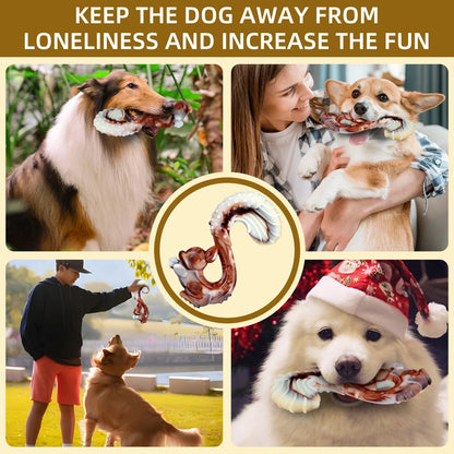 Tough Nylon Chew Toy (Beef Flavor)