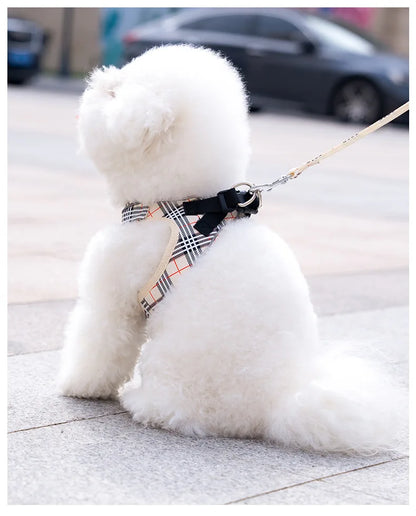 British-Style Dog Harness Set (3-Piece)