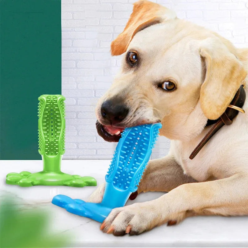Dog Dental Chew Toy