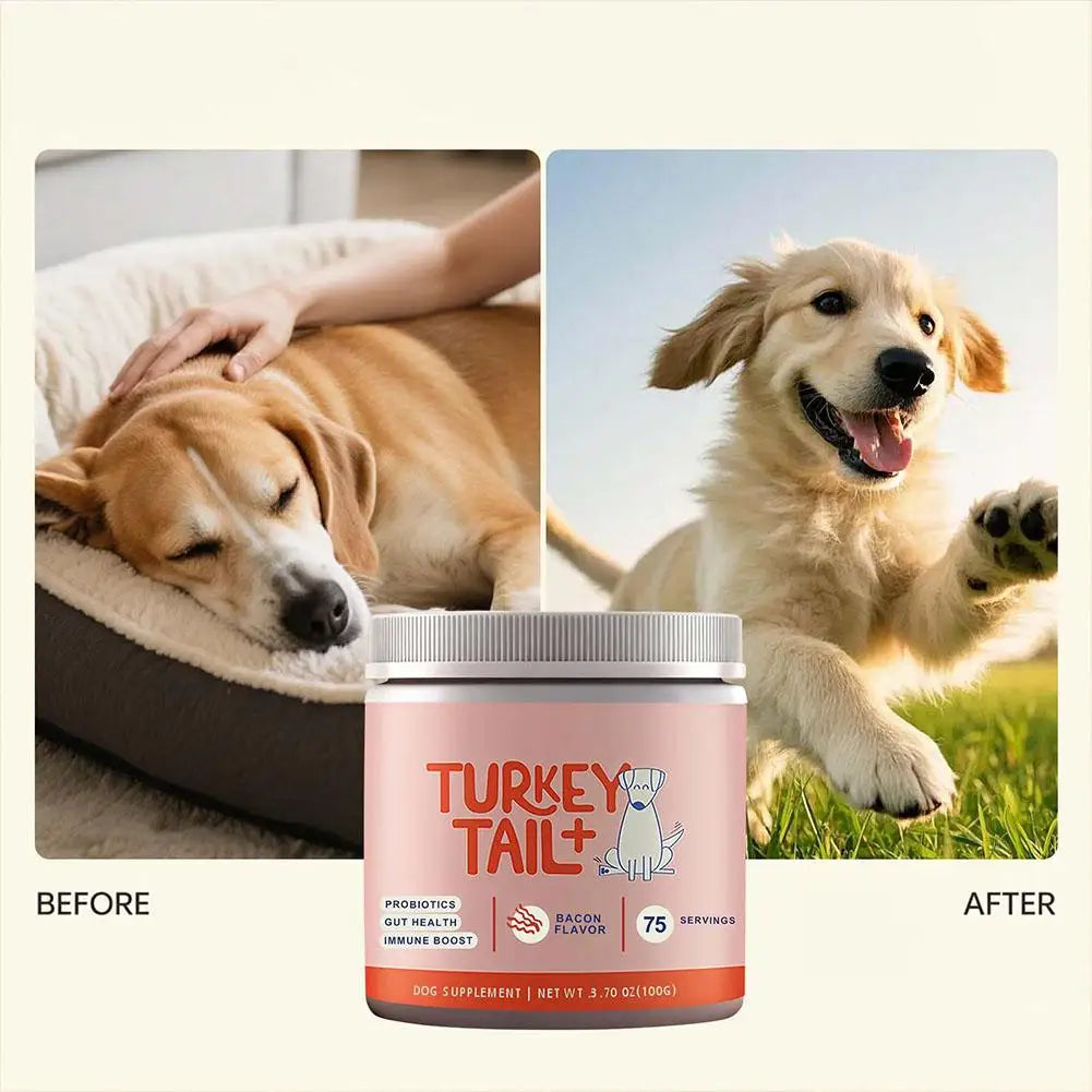 Dog Probiotic Soft Chews