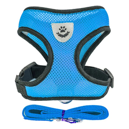 Breathable Mesh Harness & Leash