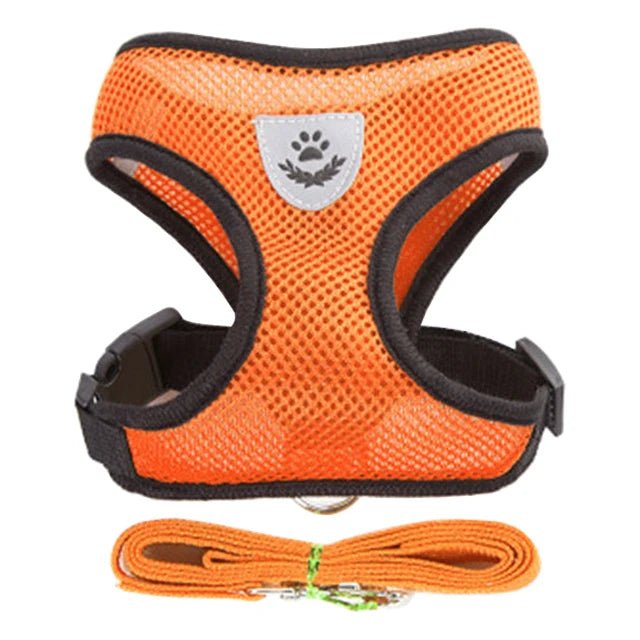 Breathable Mesh Harness & Leash