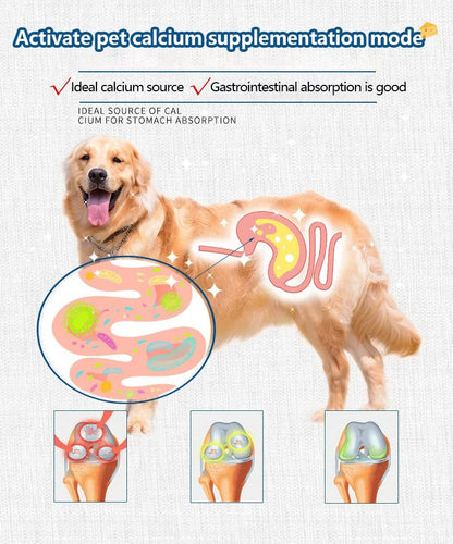 Freeze-Dried Cheese Bites for Cats & Dogs