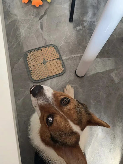 Silicone Slow-Feeding Lick Mat