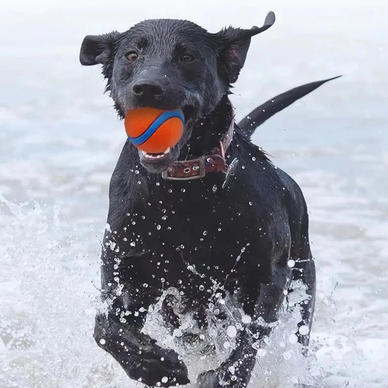 Tough Elastic Fetch Ball for Dogs