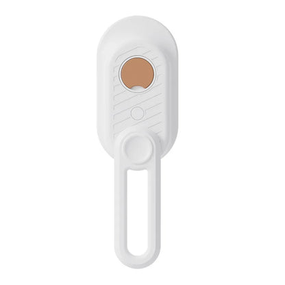3-in-1 Electric Steam Grooming Brush