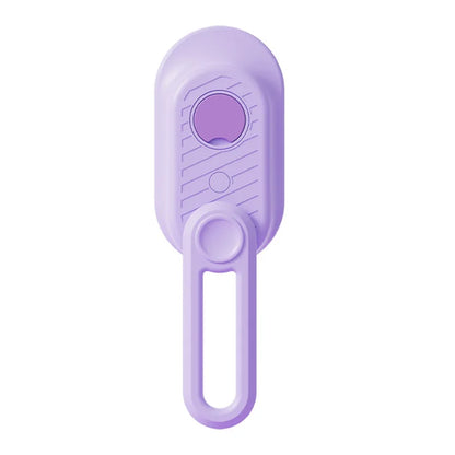 3-in-1 Electric Steam Grooming Brush