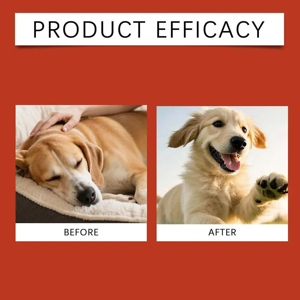 Dog Probiotic Soft Chews