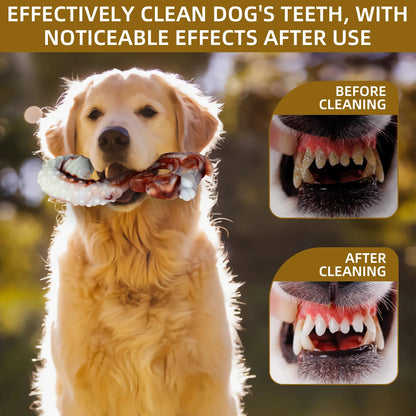 Tough Nylon Chew Toy (Beef Flavor)
