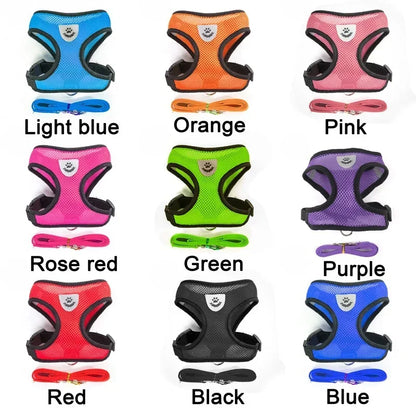 Breathable Mesh Harness & Leash