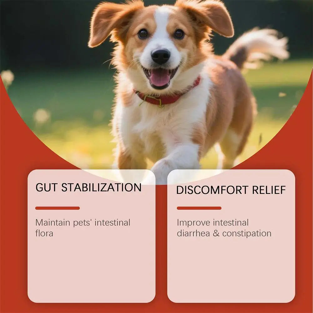 Dog Probiotic Soft Chews