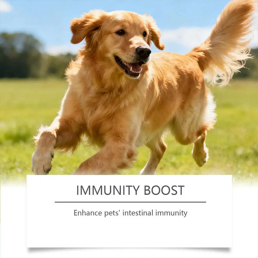 Dog Probiotic Soft Chews
