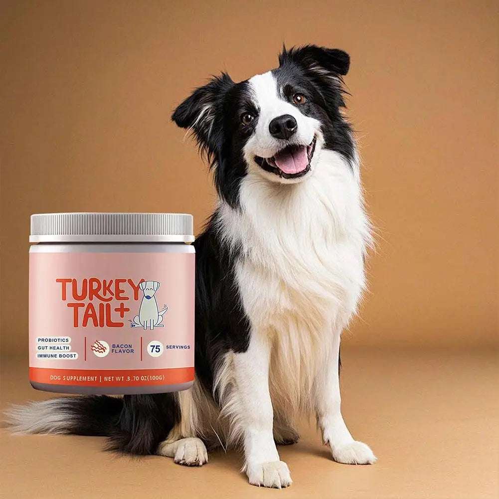 Dog Probiotic Soft Chews