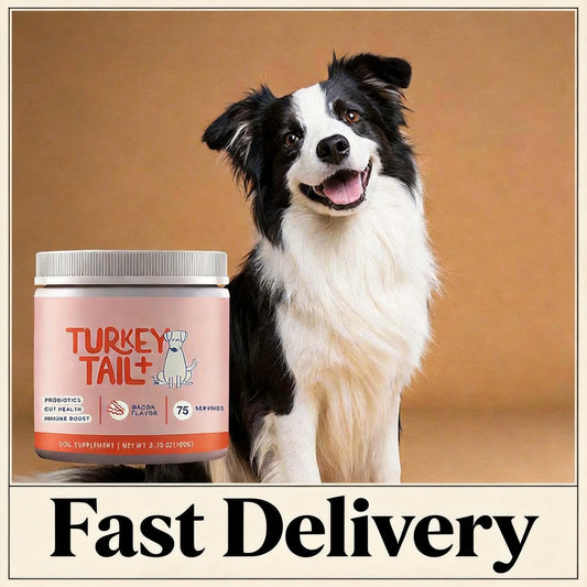 Dog Probiotic Soft Chews