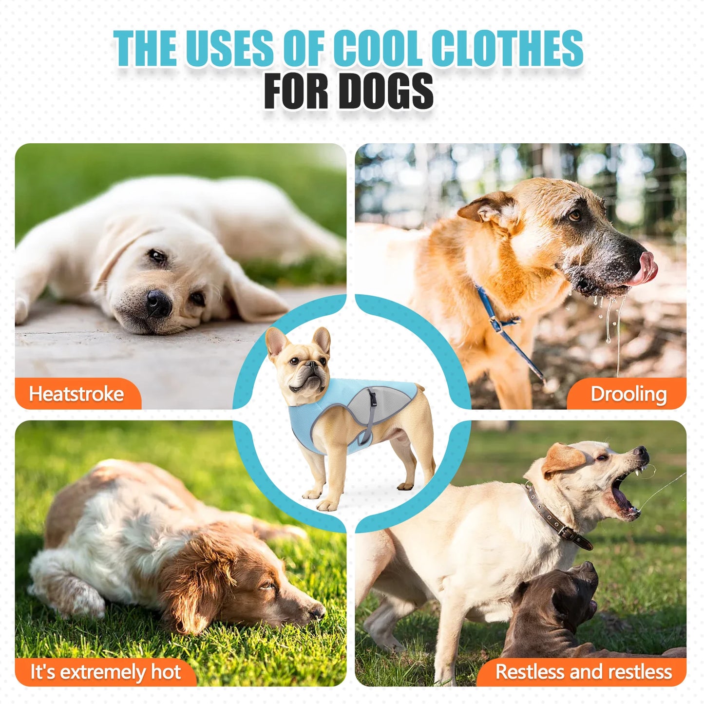 Dog Cooling Vest & Harness Jacket