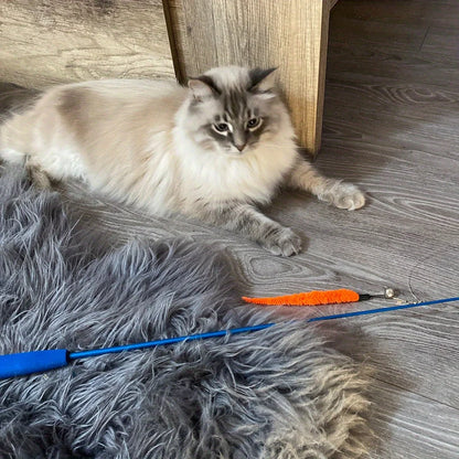 Cat Feather Wand Toy Set (11-Piece)