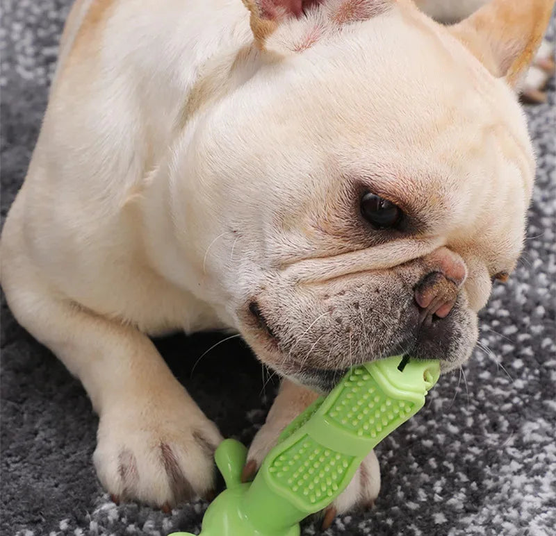 Dog Dental Chew Toy