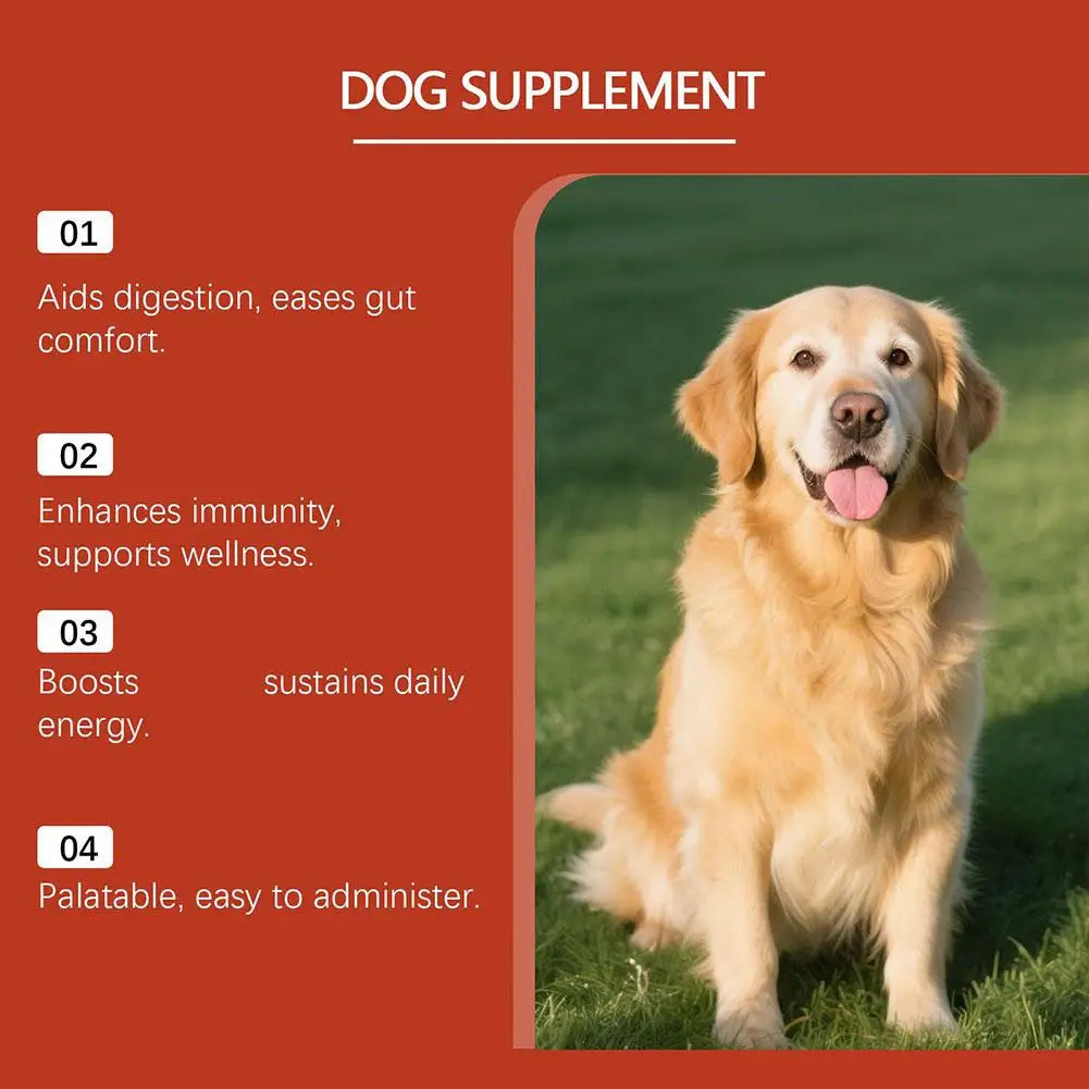 Dog Probiotic Soft Chews