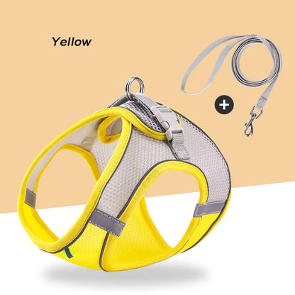 Reflective Mesh Harness & Leash Set