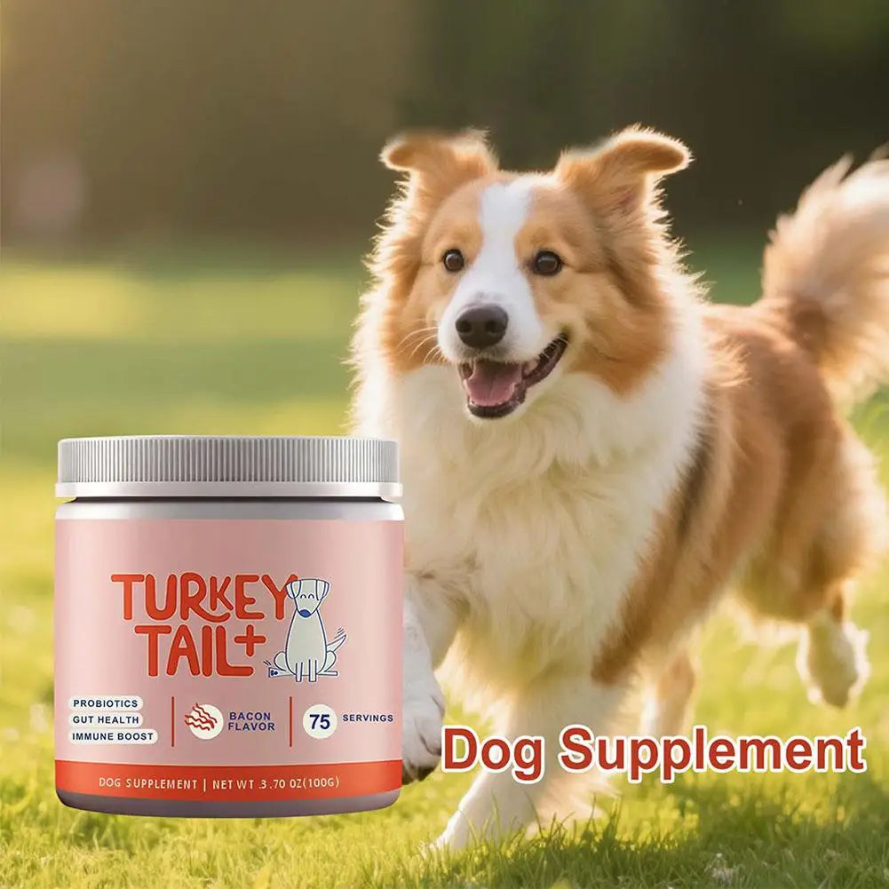 Dog Probiotic Soft Chews