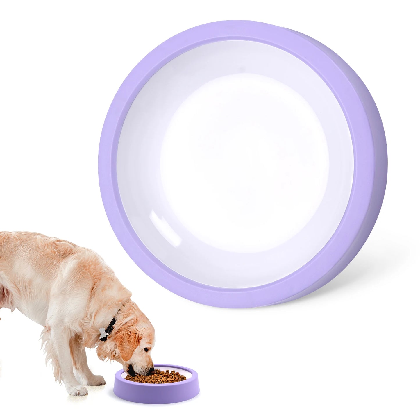 Anti-Gulping Slow Feeder Bowl