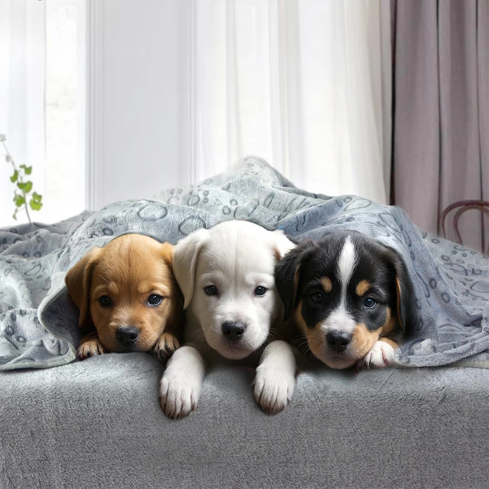 Ultra-Soft Paw Print Dog Blanket – Machine Washable Pet Throw