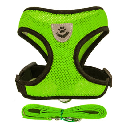 Breathable Mesh Harness & Leash